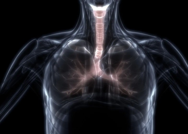 Đột phá AI: Chẩn đoán COVID-19 qua hình ảnh siêu âm phổi