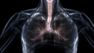 Đột phá AI: Chẩn đoán COVID-19 qua hình ảnh siêu âm phổi