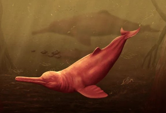 Phát hiện thủy quái đỏ khổng lồ, có con cháu còn sống ở Nam Á