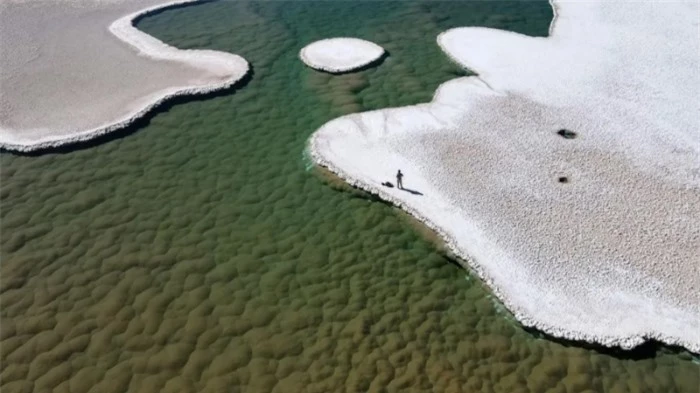 Những gò stromatolit xanh nở rộ dưới đáy đầm phá tại Puna de Atacama, Argentina. Ảnh: Brian Hynek 