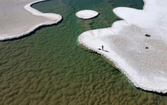 Hệ vi sinh vật trong đầm cạn sa mạc có thể phản ánh sự sống ban đầu trên sao Hỏa