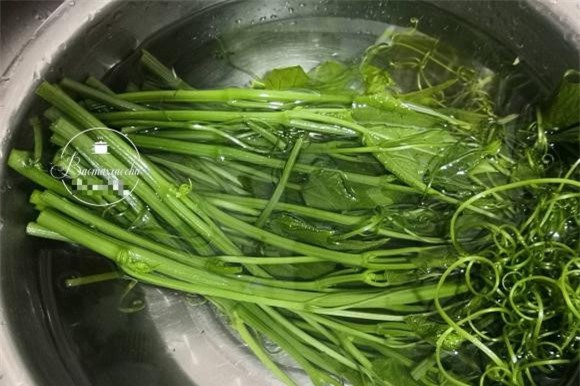 món ngon mỗi ngày, ẩm thực gia đình, món ngon