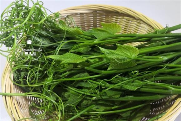 món ngon mỗi ngày, ẩm thực gia đình, món ngon