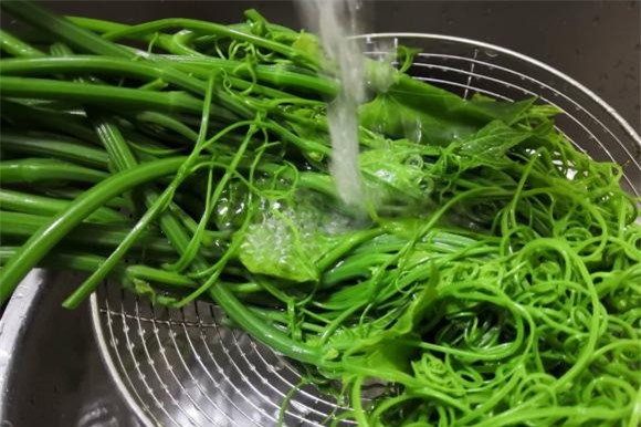 món ngon mỗi ngày, ẩm thực gia đình, món ngon