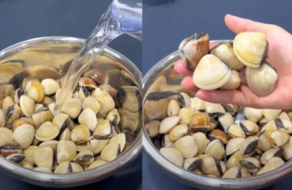 Ngâm ngao đừng dùng nước lã, thêm loại gia vị này, ngao nhả sạch cát trong phút chốc, không mất nhiều thời gian