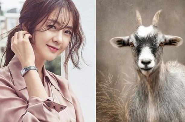 3 con giáp sinh ra đã được quý nhân phù trợ, càng về già càng viên mãn, tài sản ngập nhà ra ngõ