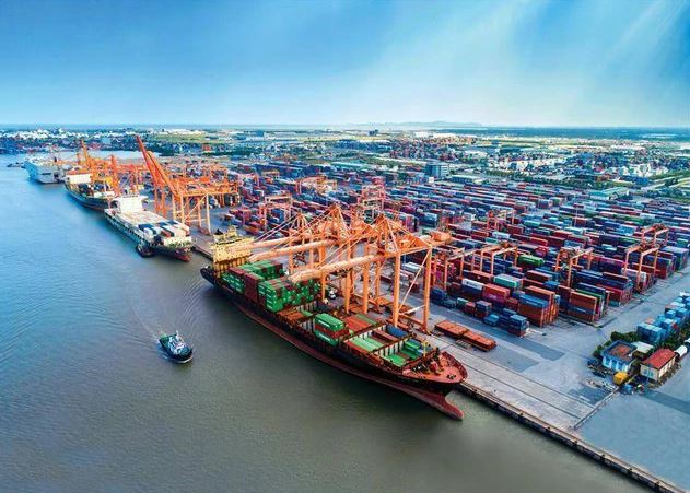 Cước vận tải biển tăng phi mã, doanh nghiệp xuất khẩu gặp khó