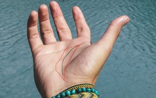 Đặc điểm của đường chỉ tay giàu sang, vận mệnh hơn người, giàu có, lắm tiền nhiều của