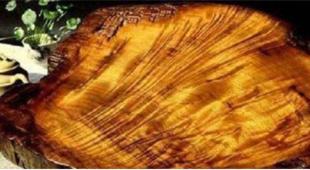 Dọn đồ đạc của ông nội và đào ra chiếc 'thớt cổ' hàng trăm năm tuổi, khi được chuyên gia thẩm định, chàng trai trở nên giàu có chỉ sau một đêm