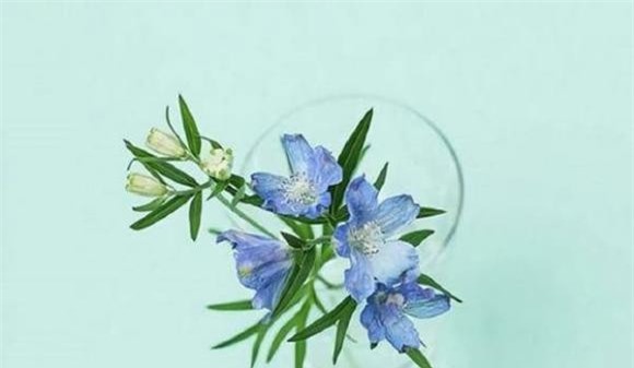 tuoi-trung-nien-3-ngoisaovn-w600-h349 0 tuổi trung niên, tình yêu, phụ nữ