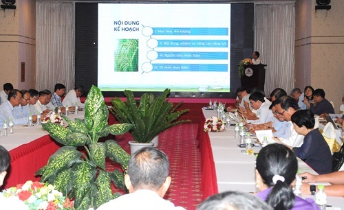 Nâng cao năng lực thực hiện Đề án một triệu ha lúa chất lượng cao