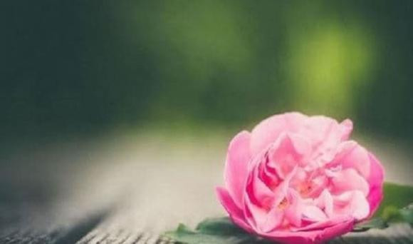 Ở tuổi 40, cuộc đời có 'ba lần vượt rào', nếu qua được thì sẽ hạnh phúc