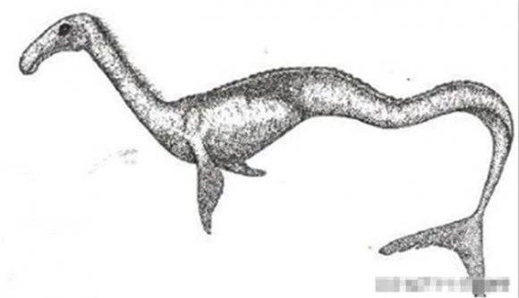  quái vật biển,  Caburosaurus