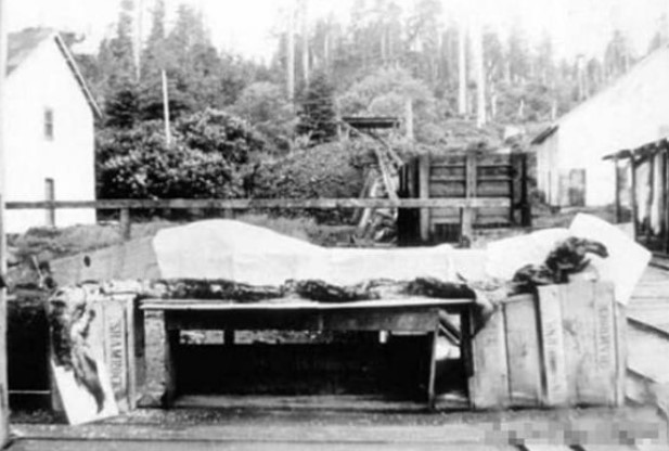 Một con quái vật biển thực sự với những lần nhìn thấy thường xuyên, đầu của nó là một con lạc đà và thân dài 20 mét như một con rắn biển