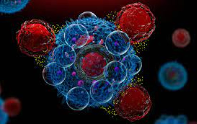 Ấn Độ ra mắt liệu pháp tế bào CAR-T bản địa đầu tiên để điều trị ung thư