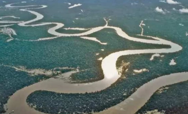 Dài nhất nhì thế giới với khoảng 6.400 km, chảy qua 3 quốc gia, vì sao con sông khổng lồ này không có cây cầu nào bắc qua?