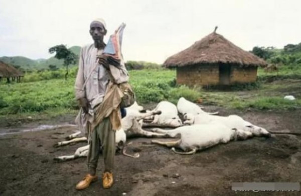 'Hồ giết người' ở châu Phi: Hơn 2.000 người chết trong một đêm kỳ lạ, và kẻ sát nhân thực sự đang ẩn mình dưới đáy hồ