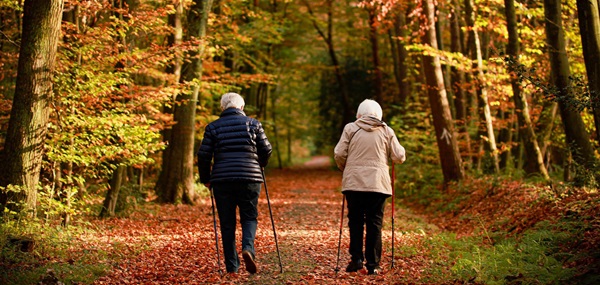 Better mental and physical health among the elderly is associated with nature proximity