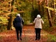 Better mental and physical health among the elderly is associated with nature proximity