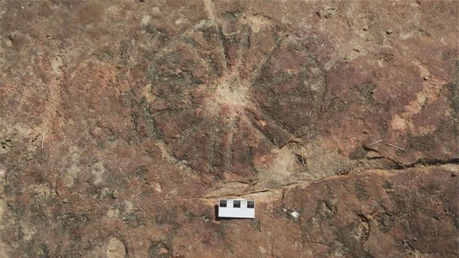 Phát hiện tác phẩm nghệ thuật 9.000 năm tuổi bên cạnh dấu chân khủng long ảnh 1