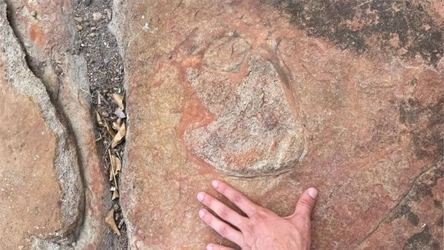 Phát hiện tác phẩm nghệ thuật 9.000 năm tuổi bên cạnh dấu chân khủng long ảnh 2