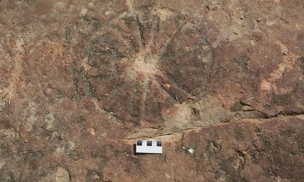 Phát hiện tác phẩm nghệ thuật 9.000 năm tuổi bên cạnh dấu chân khủng long