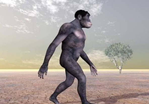 Con người mất toàn bộ lông trên cơ thể, nhưng vẫn giữ được lông trên đầu và các bộ phận riêng tư, tại sao lại như vậy?