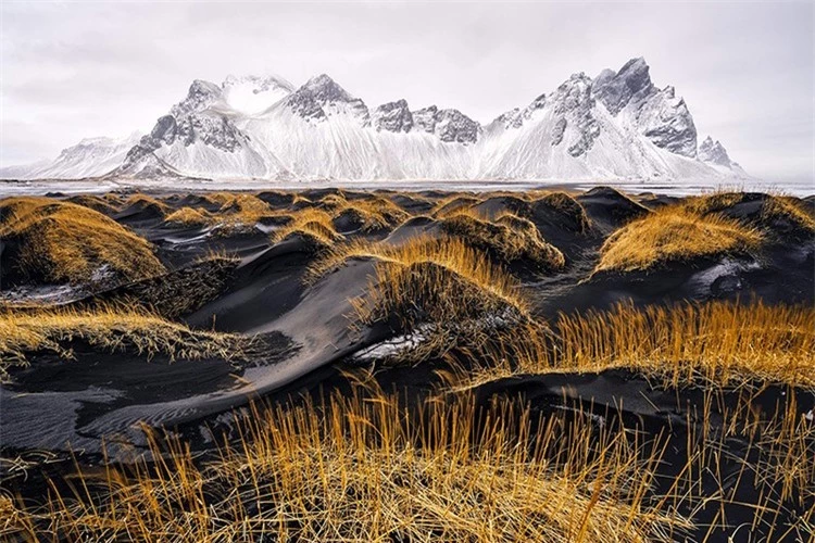 Chùm các tác phẩm xuất sắc đoạt giải thưởng Nhiếp ảnh Thiên nhiên Thế giới 2024- Ảnh 10.