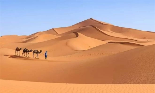 Sa-mạc-Sahara (1).jpg 0