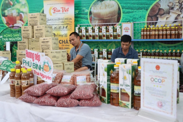 Xúc tiến thương mại, mở rộng xuất nhập khẩu vùng Trung du, miền núi phía Bắc 