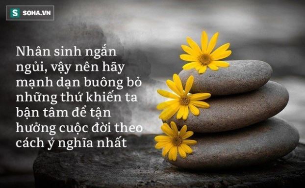 Đời người, có 2 việc nhất định phải tránh mới mong cuộc sống bình yên, thuận lợi: Bạn có biết đó là việc gì?