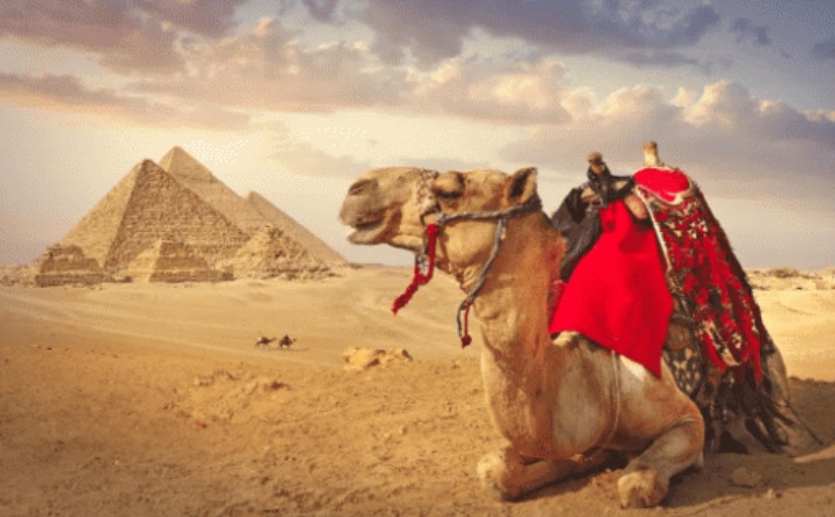 Ai Cập cổ đại không phải là một sa mạc như chúng ta vẫn nghĩ, vậy nó là gì?