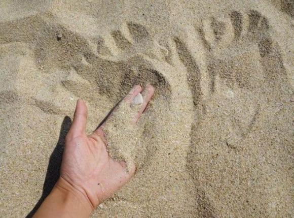 Tại sao chỉ dùng cát sông khi xây dựng mà không sử dụng cát sa mạc và cát biển?