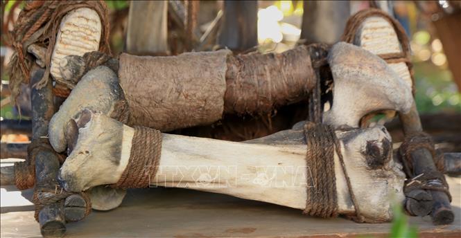 Điều tra nhóm đối tượng trộm hiện vật trưng bày tại Gia Lai