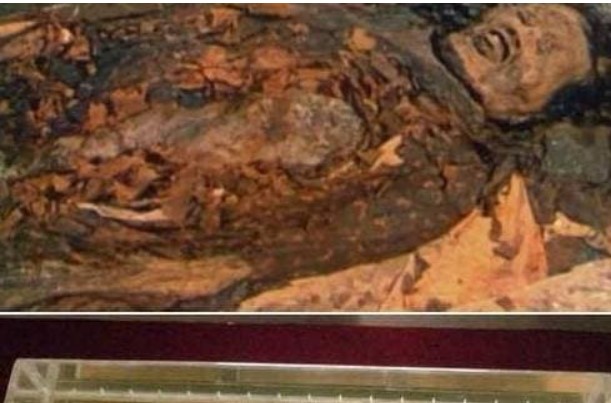 Vì sao xác chết ngàn năm không thối rữa? Xác ướp được sinh ra như thế nào? 