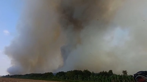 Cà Mau: Hàng trăm người chữa cháy rừng tràm 4 năm tuổi