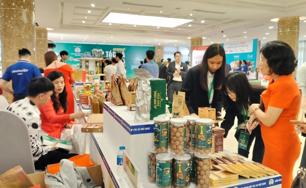 Gỡ khó cho hợp tác xã trong liên kết sản xuất theo chuỗi giá trị