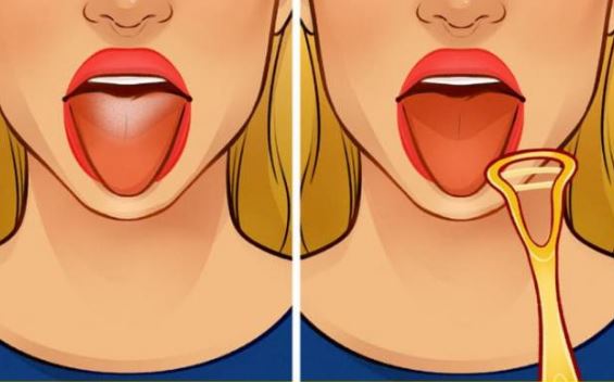 Đừng quên cạo lưỡi vào buổi sáng và những thói quen tốt cho cơ thể bạn nên biết