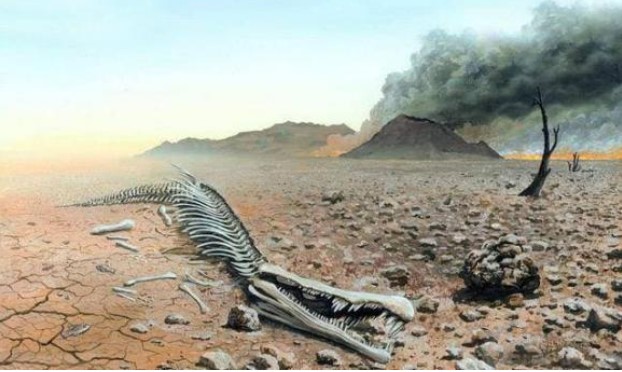 Loài chim biến mất 170 năm xuất hiện trở lại, các nhà khoa học: con người có thể đã bắt đầu đợt tuyệt chủng hàng loạt thứ sáu