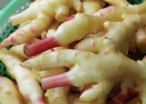 Vào mùa hè, đây là “cao thủ làm sạch ruột”, ăn 3 miếng mỗi ngày, chứng táo bón giảm đi, cơ thể thoải mái, dễ chịu