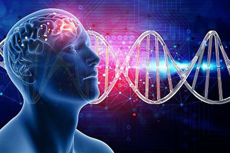 Phát hiện mới về "hội chứng não tháng Giêng"