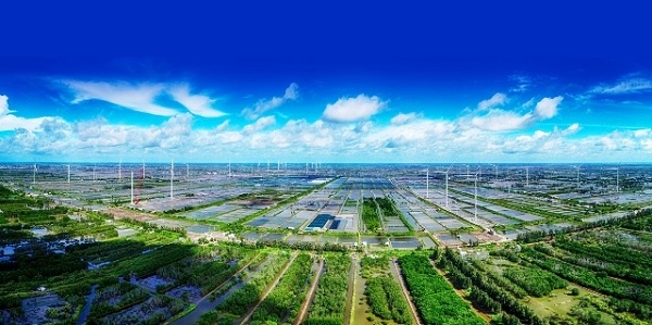 Chuyển đổi số sang mô hình kinh doanh bền vững không còn là "chiếc áo thời trang"