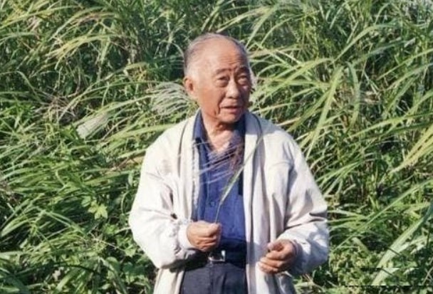 'Giàu nghèo xét bằng tay chân, thiện ác xét qua khuôn mặt', kỹ năng nhận diện con người của người xưa quá chính xác!