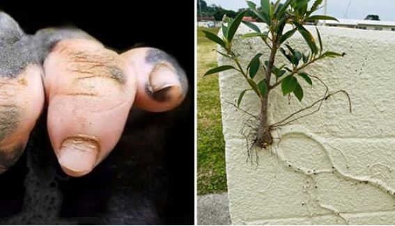 17 b&#x1EE9;c &#x1EA3;nh &#x27;&#x111;&#x1ED9;c l&#x1EA1;&#x27; c&#x1EE7;a th&#x1EBF; gi&#x1EDB;i t&#x1EF1; nhi&#xEA;n khi&#x1EBF;n b&#x1EA1;n kh&#xF4;ng th&#x1EC3; tin v&#xE0;o m&#x1EAF;t m&#xEC;nh