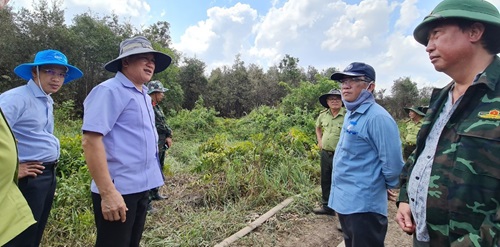 Cà Mau: Hỏa tốc làm rõ nguyên nhân vụ cháy rừng tràm