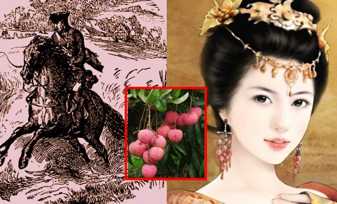 Việt Nam có 1 loại quả đặc sản khiến Dương Quý Phi yêu thích: Trung Hoa từng phải yêu cầu cống nạp