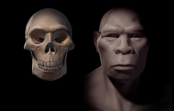 Phát hiện 'xưởng vũ khí' của loài người khác trong mỏ đá ở Israel