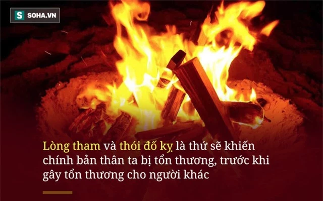 1 đặc điểm chung của những người càng sống càng khổ, hãy xem bạn có hay không! - Ảnh 2. 1 đặc điểm chung của những người càng sống càng khổ, hãy xem bạn có hay không! - Ảnh 2.
