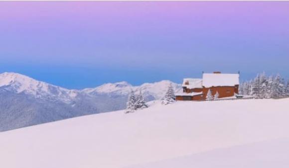 Bạn có nằm trong top 10 'kẻ ngốc mới' của năm 2024 không?