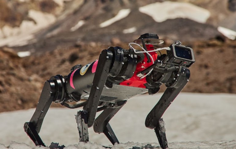 NASA huấn luyện chó robot cho sứ mệnh giải cứu trên mặt trăng